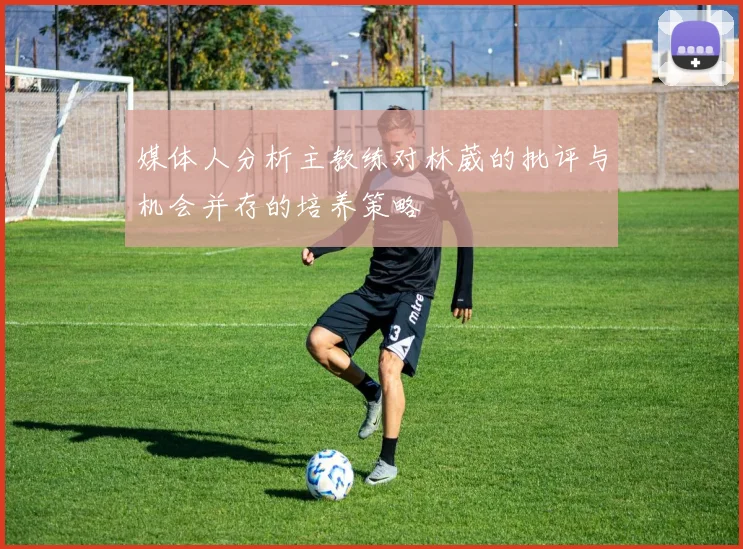 媒体人分析主教练对林葳的批评与机会并存的培养策略